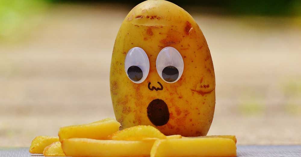 What To Do When Your Brain Is Fried Owner's Magazine