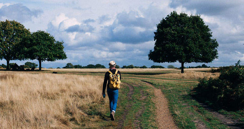 Man walking in a field