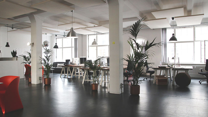 Open office with abundance of natural lighting