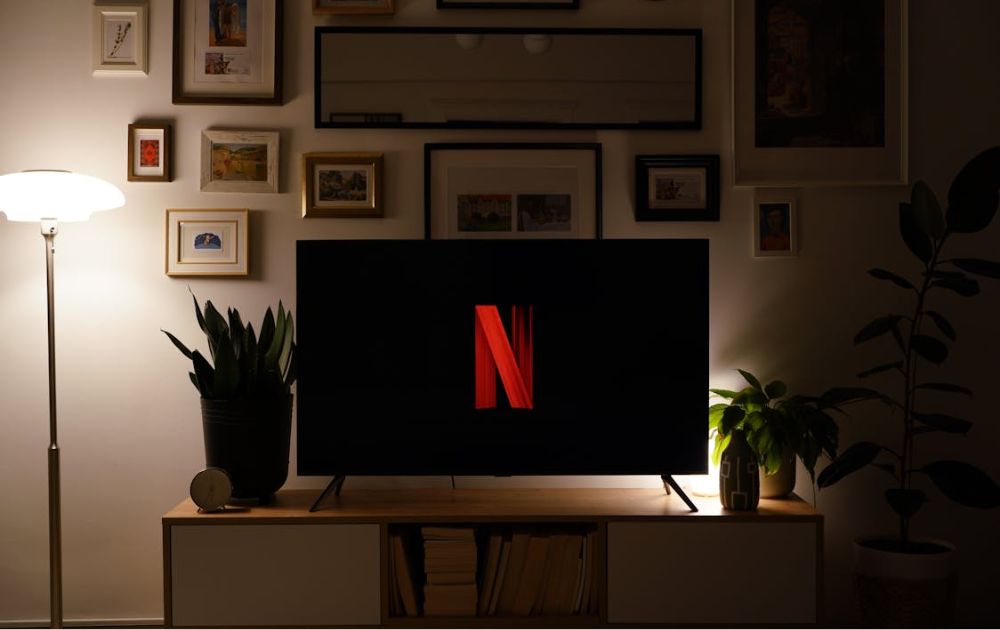 logo statistics netflix