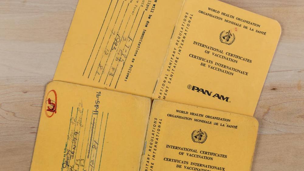 yellow panam vaccination cards