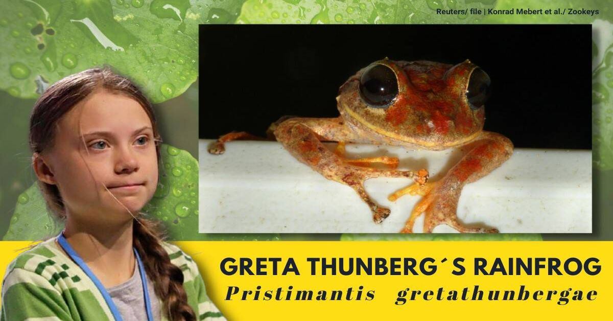 greta thunberg and frog