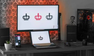 image of crowns on a computer