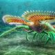 aquatic arthropod