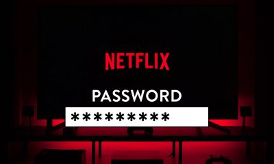 netflix logo and password