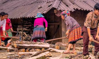 indigenous people working