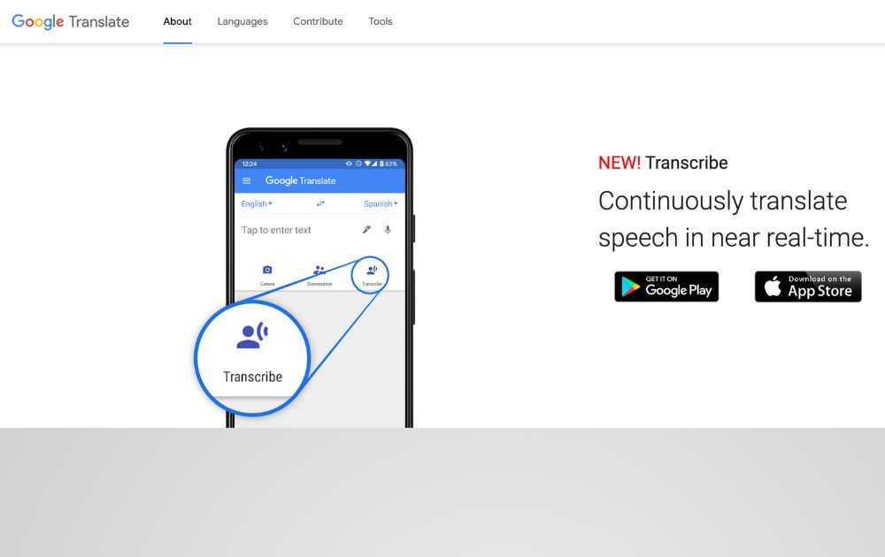 screenshot of google translate website