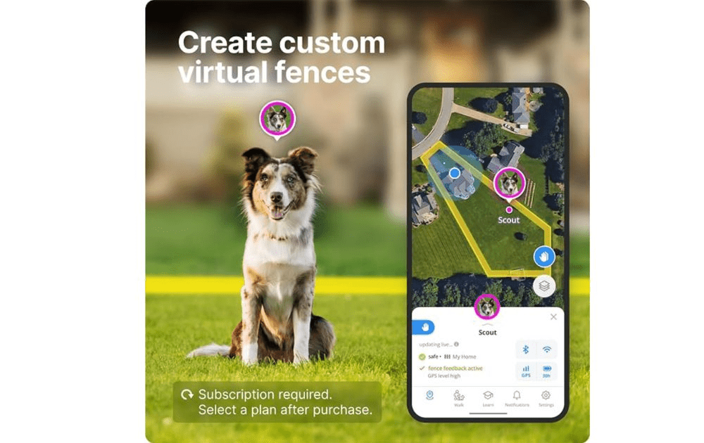10 Pet Tech Products Halo Collar 3