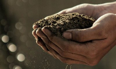magic dirt