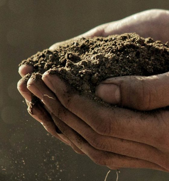 magic dirt