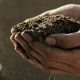 magic dirt