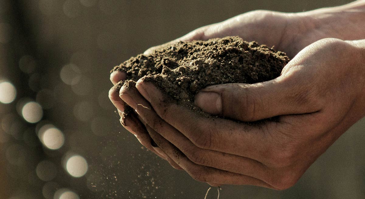 magic dirt