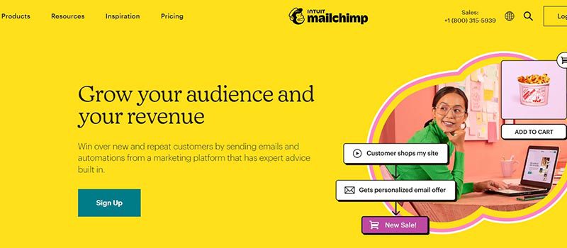 mailchimp homepage