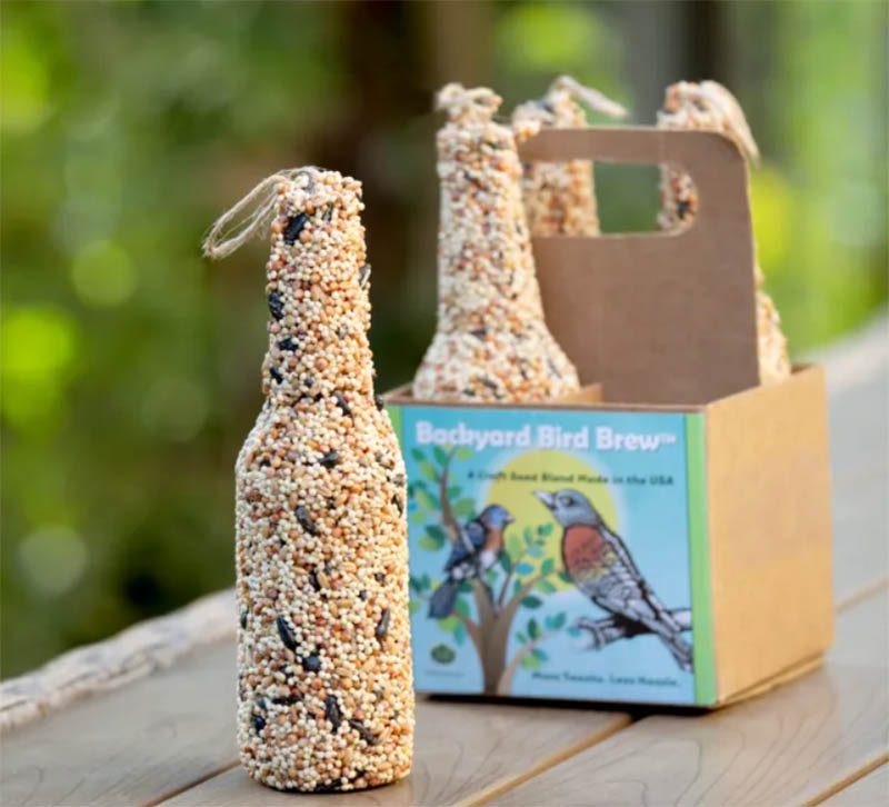 bird seed feeder