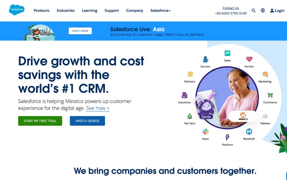 Salesforce website screenshot