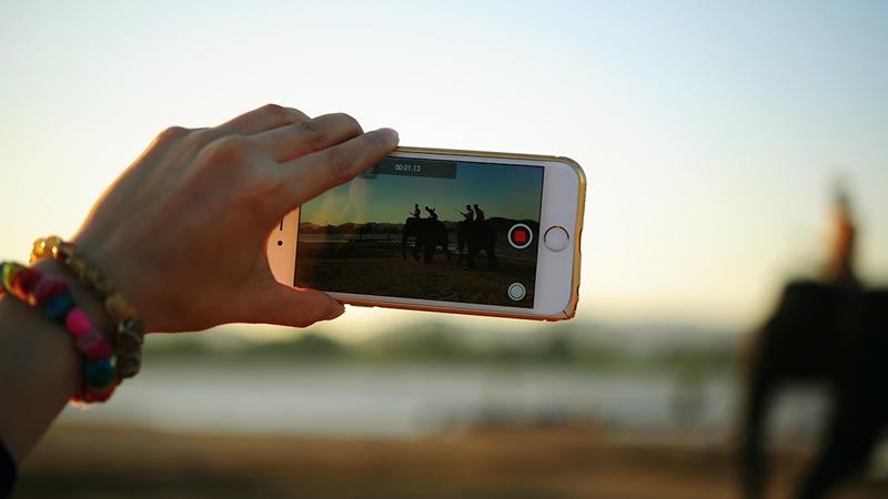 person holding a phone