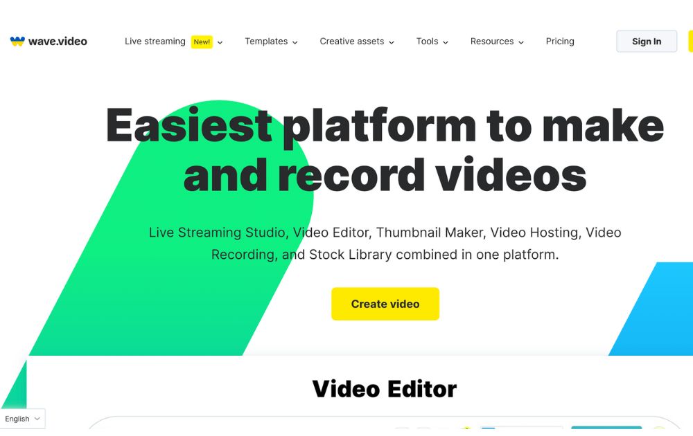 video marketing platforms example