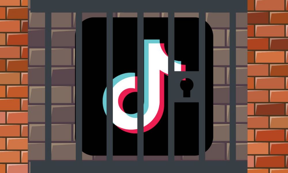 The TikTok Ban: What It Could Mean for Marketers - Owner's Magazine