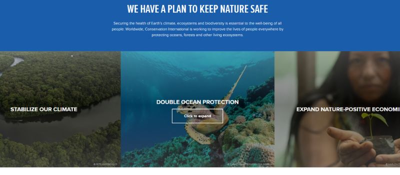 conservation international webpage