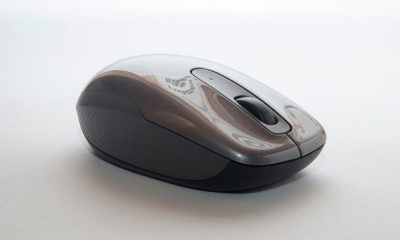 mouse in white background