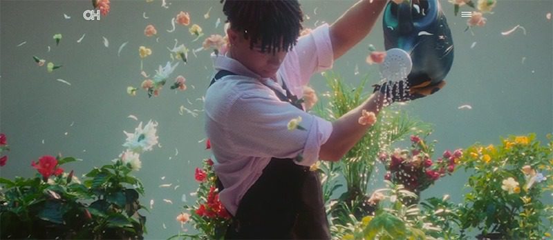 Best Design Agency in Arizona