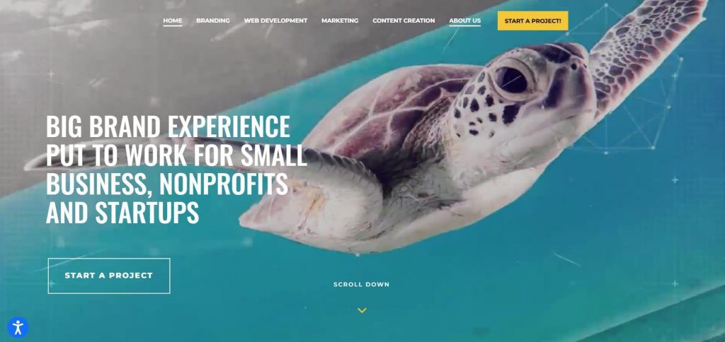 logo design services